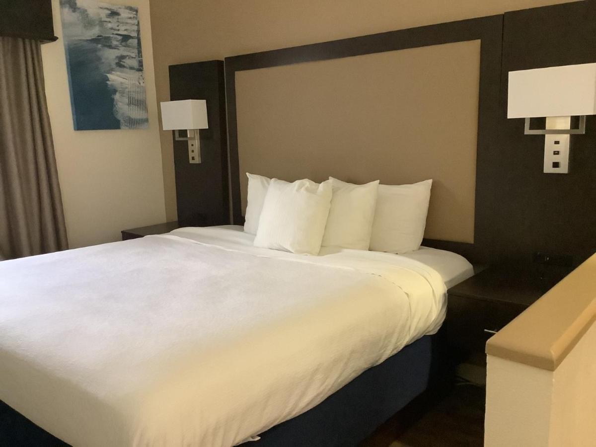 Best Western Plus Madison Kültér fotó